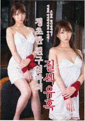每日补档分区封面